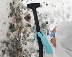 Best Mold Documentation for Insurance Claims in St Michaels, MD